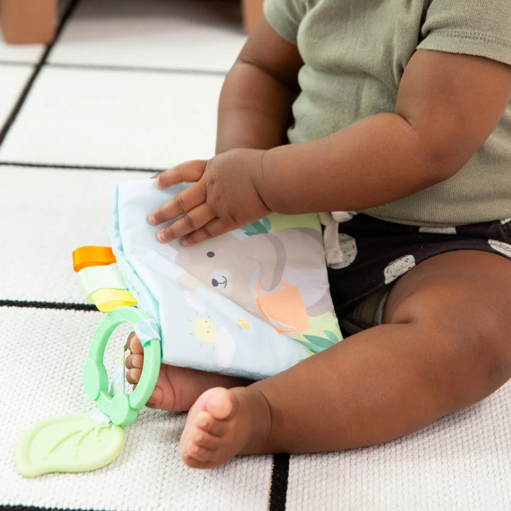 Ingenuity Soft Book Nate