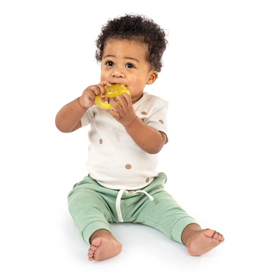 Ingenuity Cool Bite Water Teether - Bomby Ingenuity Cool Bite Water Teether - Bomby