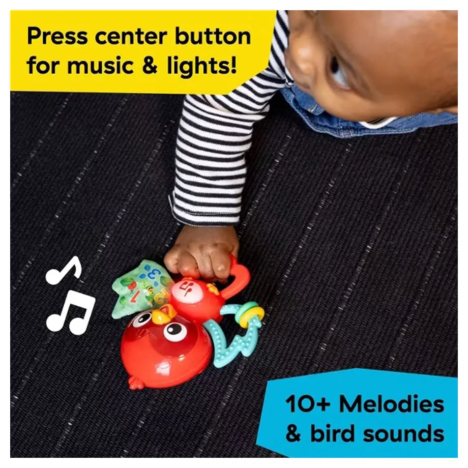 Baby Einstein Roxy's Bright Flight Musical Toy