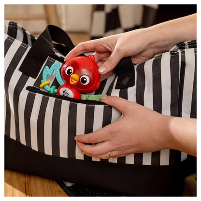 Baby Einstein Roxy's Bright Flight Musical Toy
