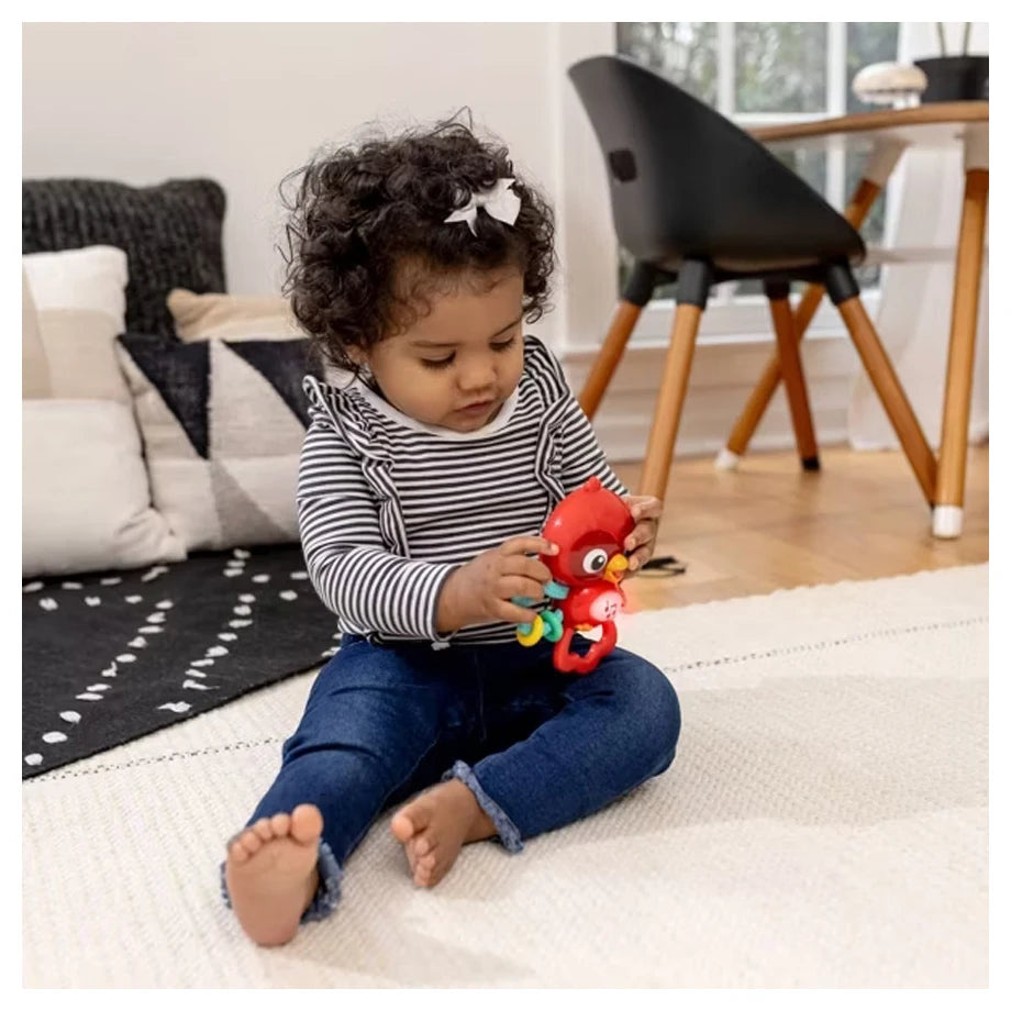 Baby Einstein Roxy's Bright Flight Musical Toy