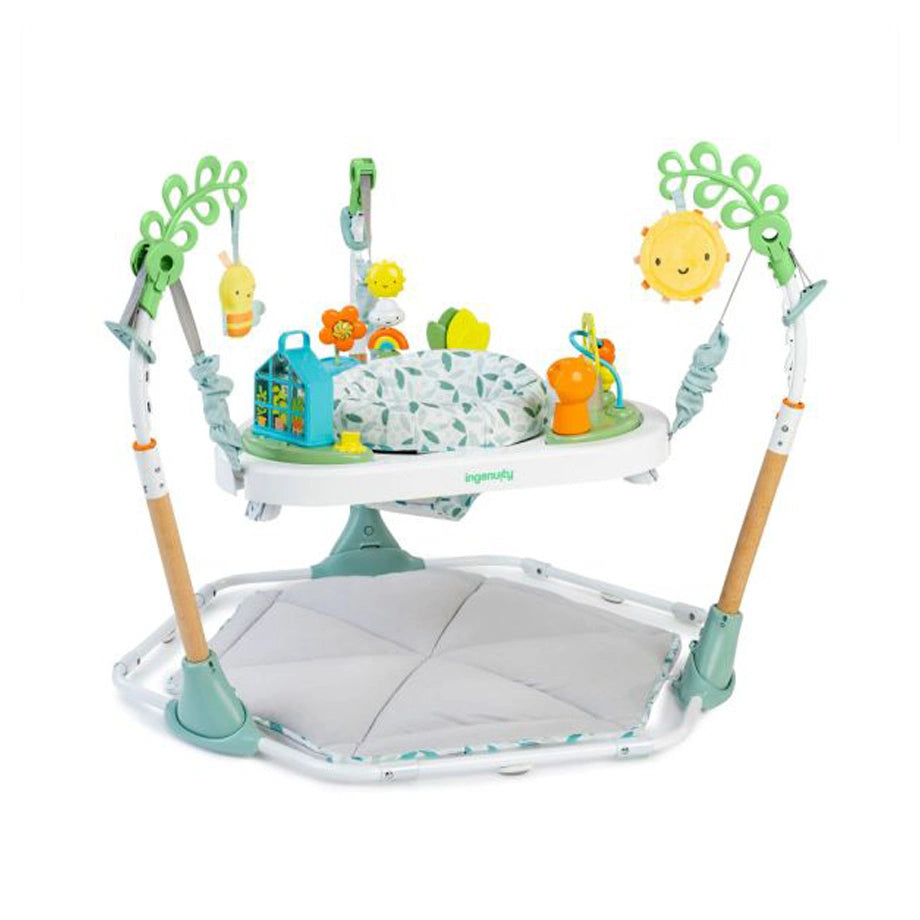 Ingenuity Tummy to Toes 6-in-1 Milestones Center