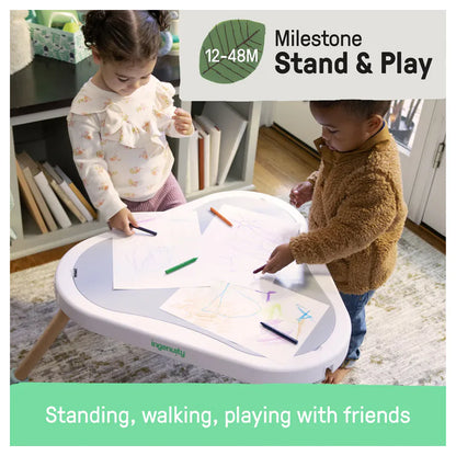 Ingenuity Tummy to Toes 6-in-1 Milestones Center