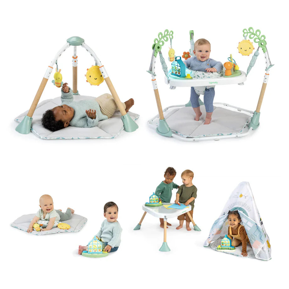 Ingenuity Tummy to Toes 6-in-1 Milestones Center