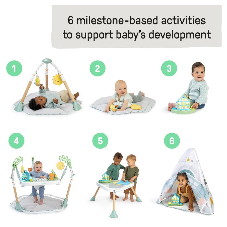 Ingenuity Tummy to Toes 6-in-1 Milestones Center