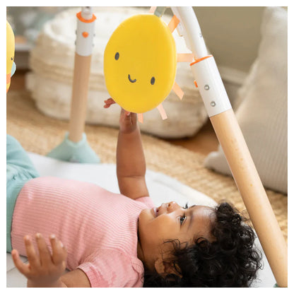 Ingenuity Tummy to Toes 6-in-1 Milestones Center