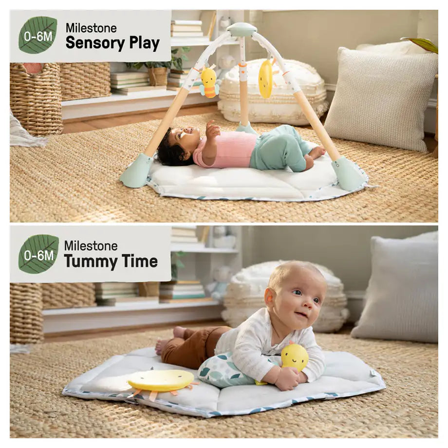 Ingenuity Tummy to Toes 6-in-1 Milestones Center