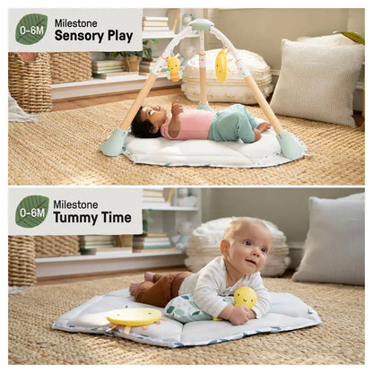 Ingenuity Tummy to Toes 6-in-1 Milestones Center