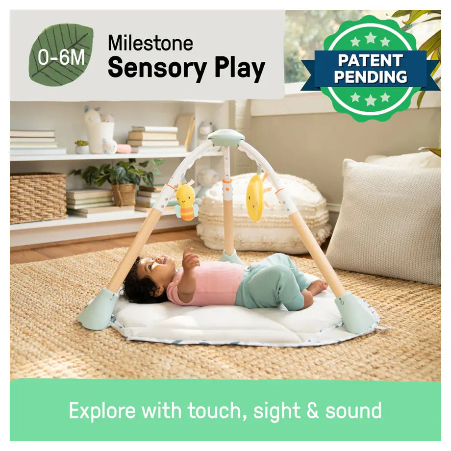 Ingenuity Tummy to Toes 6-in-1 Milestones Center