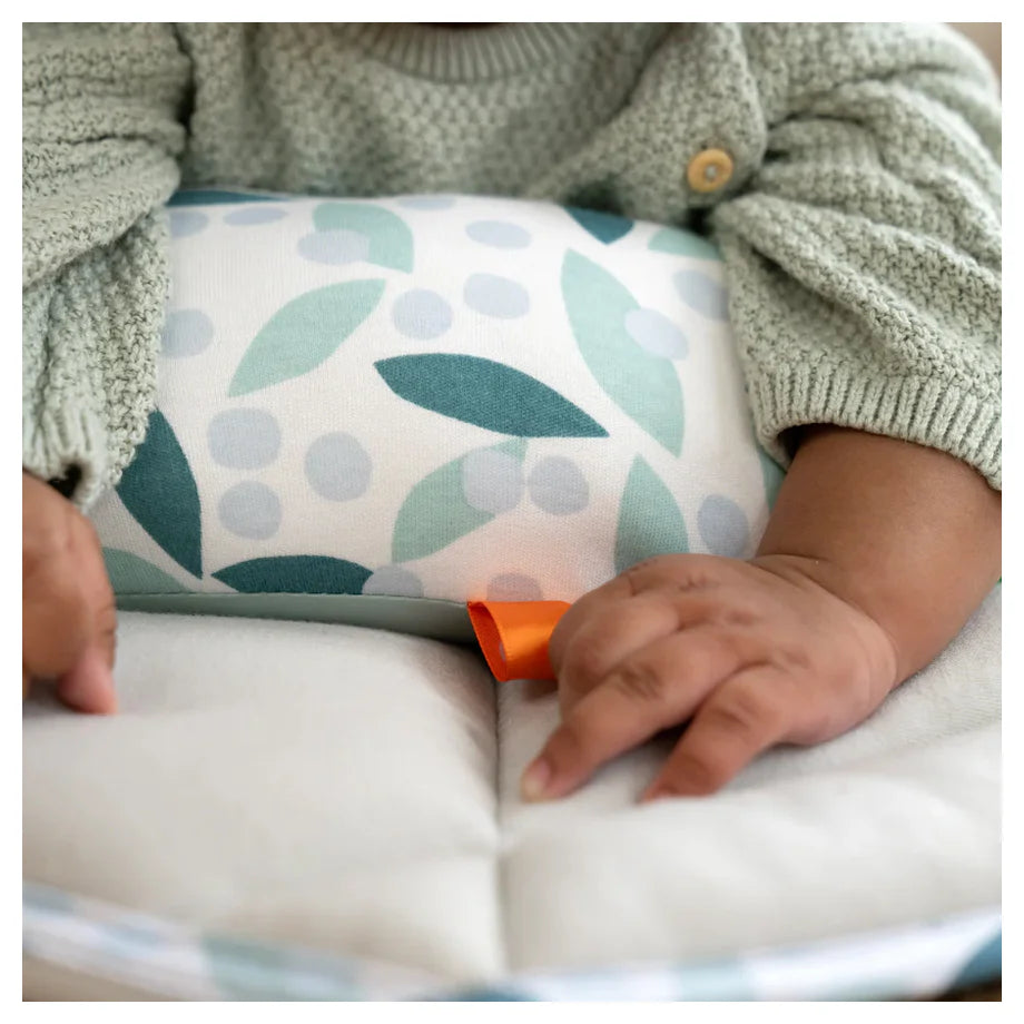Ingenuity Tummy to Toes 6-in-1 Milestones Center