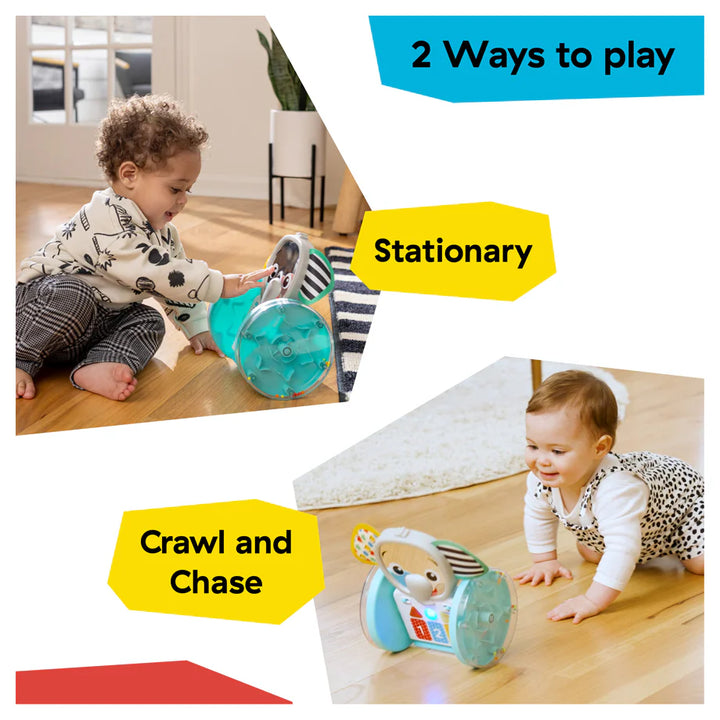 Baby Einstein Chase & Tap Earl Interactive Crawling Toy
