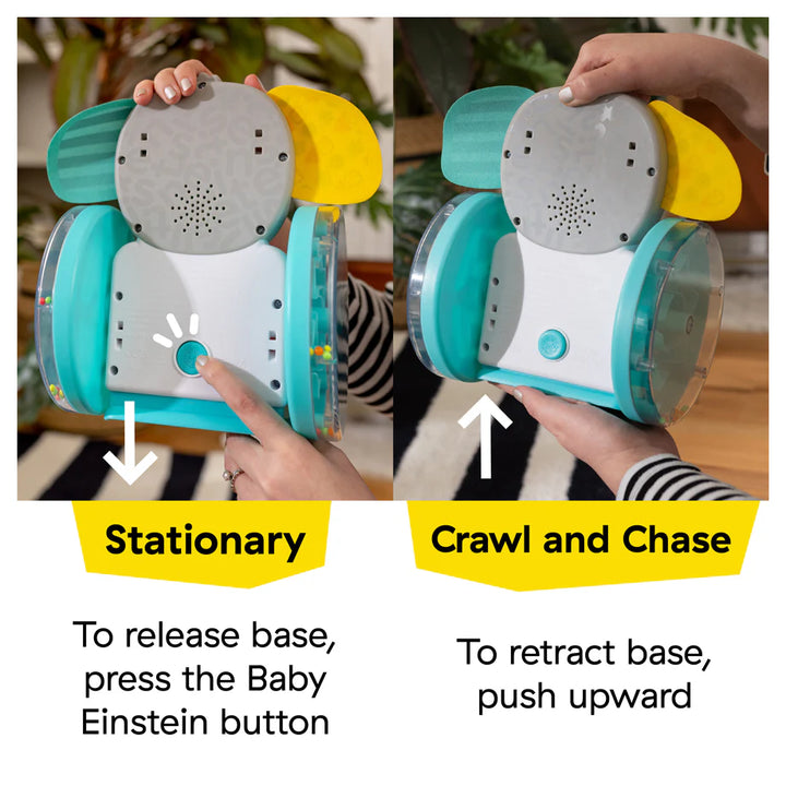 Baby Einstein Chase & Tap Earl Interactive Crawling Toy