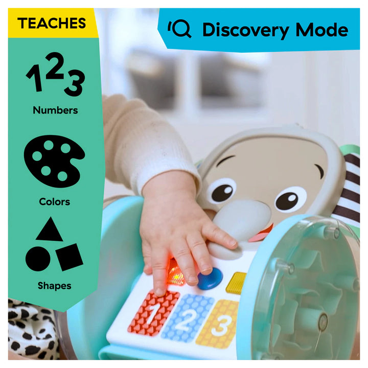 Baby Einstein Chase & Tap Earl Interactive Crawling Toy
