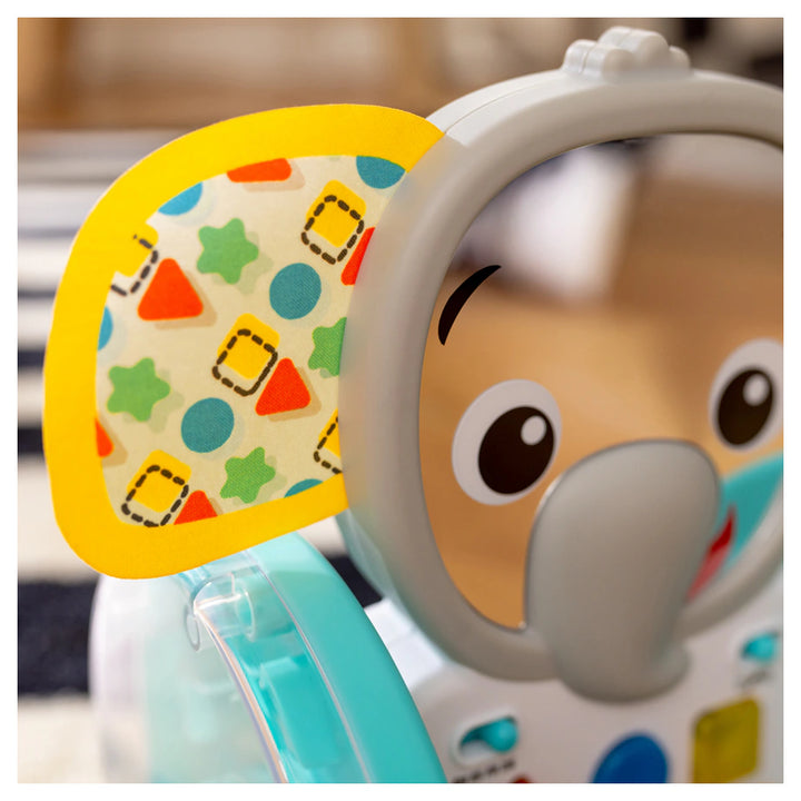 Baby Einstein Chase & Tap Earl Interactive Crawling Toy
