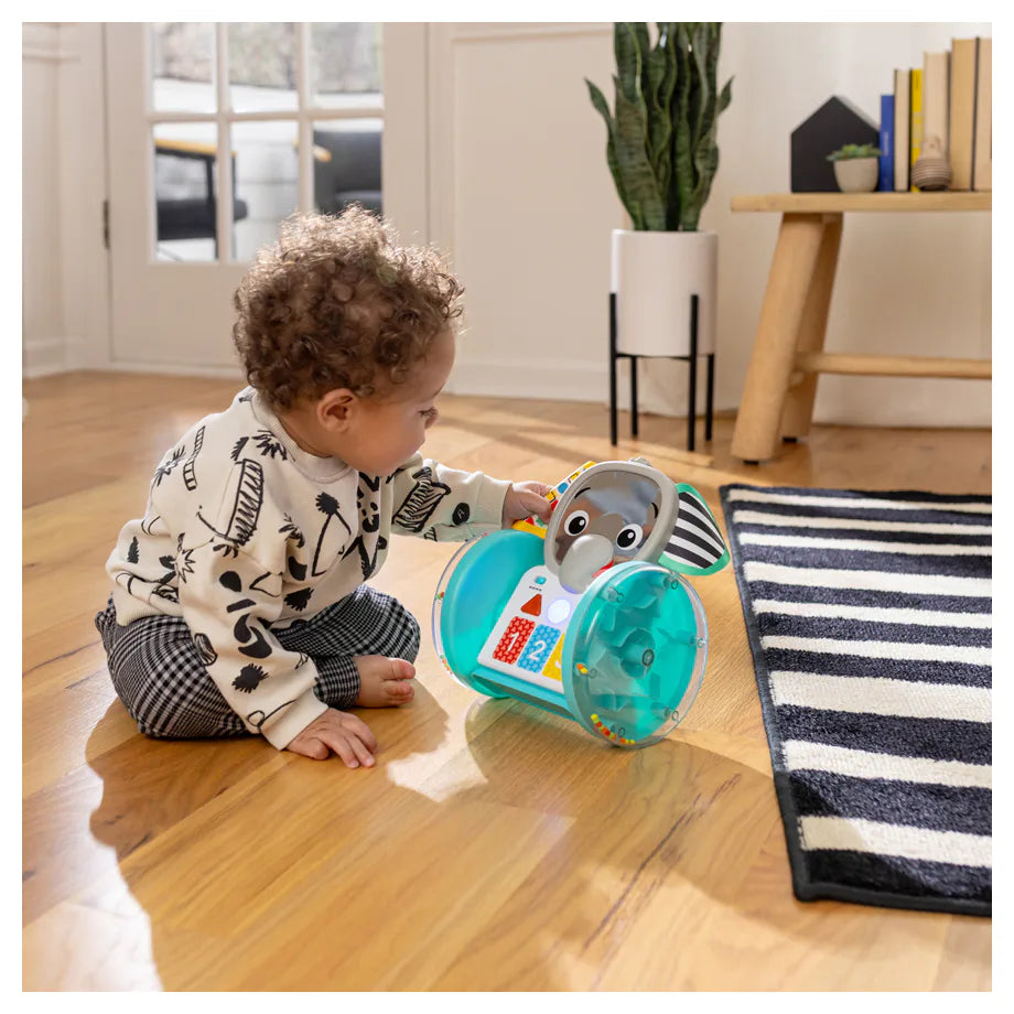 Baby Einstein Chase & Tap Earl Interactive Crawling Toy Baby Einstein Chase & Tap Earl Interactive Crawling Toy