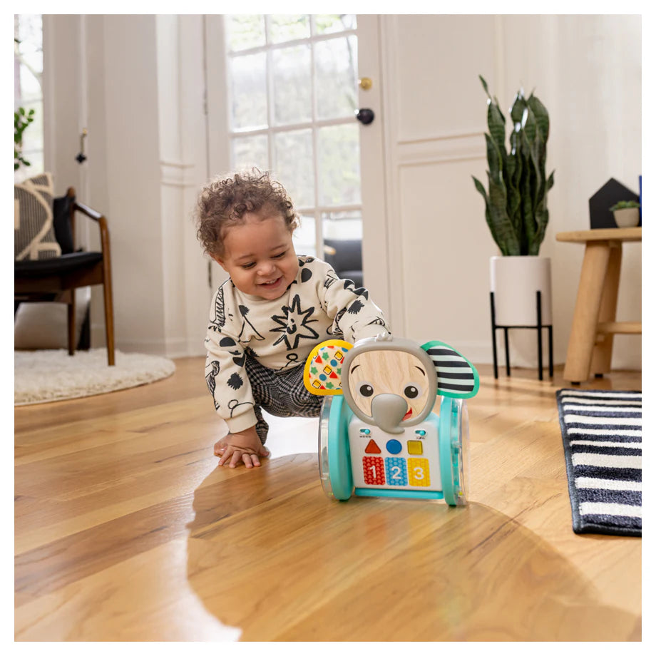 Baby Einstein Chase & Tap Earl Interactive Crawling Toy Baby Einstein Chase & Tap Earl Interactive Crawling Toy