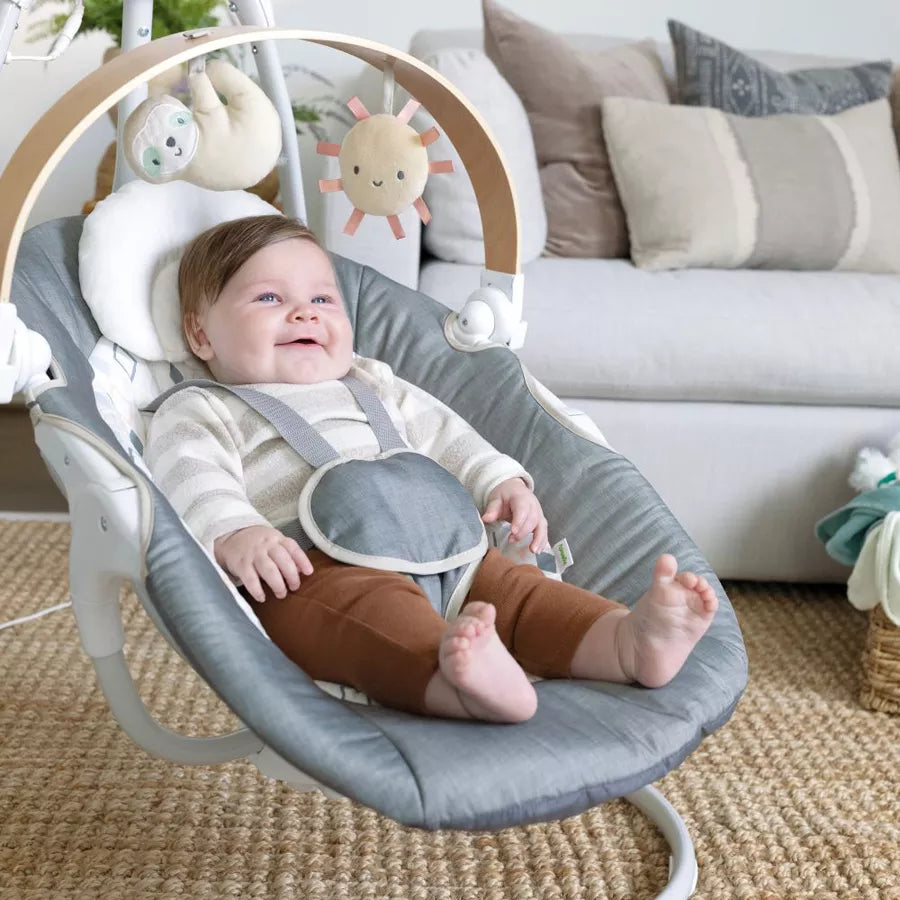 أرجوحة مريحة مدمجة من Ingenuity Simplecomfort - Park أرجوحة مريحة مدمجة من Ingenuity Simplecomfort - Park