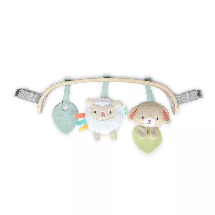 Ingenutiy Wonder Wood Carrier Toybar