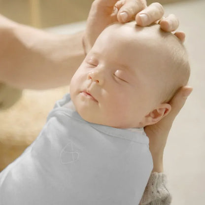 Ingenuity SwaddleMe Monogram Collection 0-3M (Dino Mite)