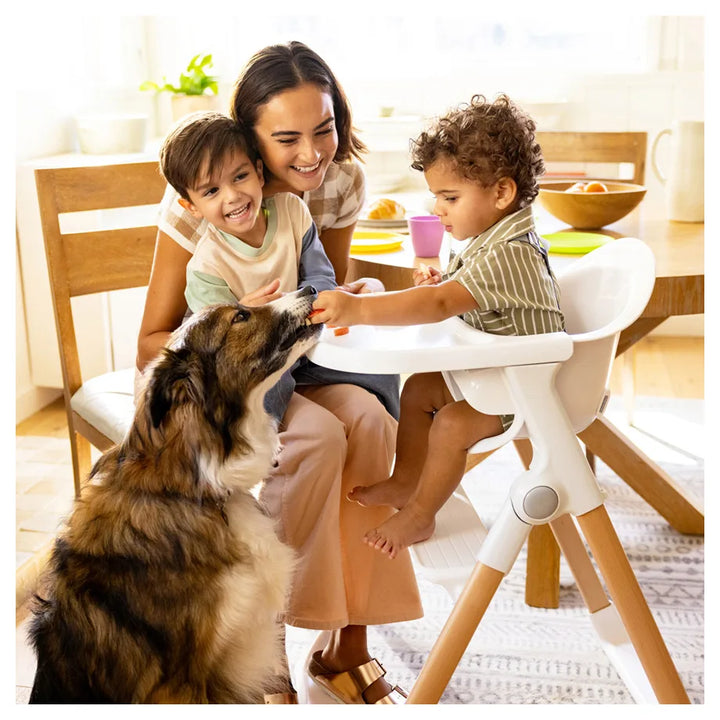 Munchkin Float Foldable High Chair with Wooden Legs (White)