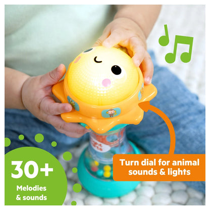 Bright Starts Just for Sun Flashlight Toy