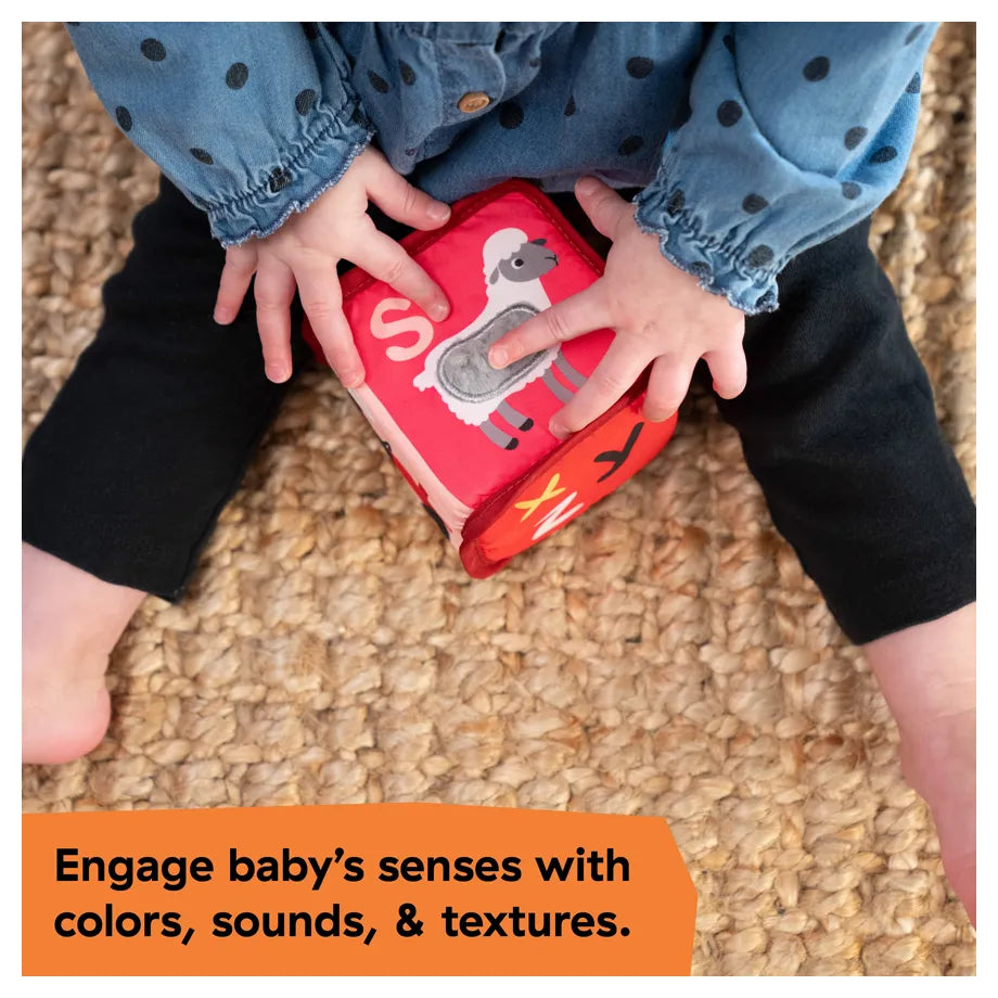 Baby Einstein Alpha Stacks Soft Blocks