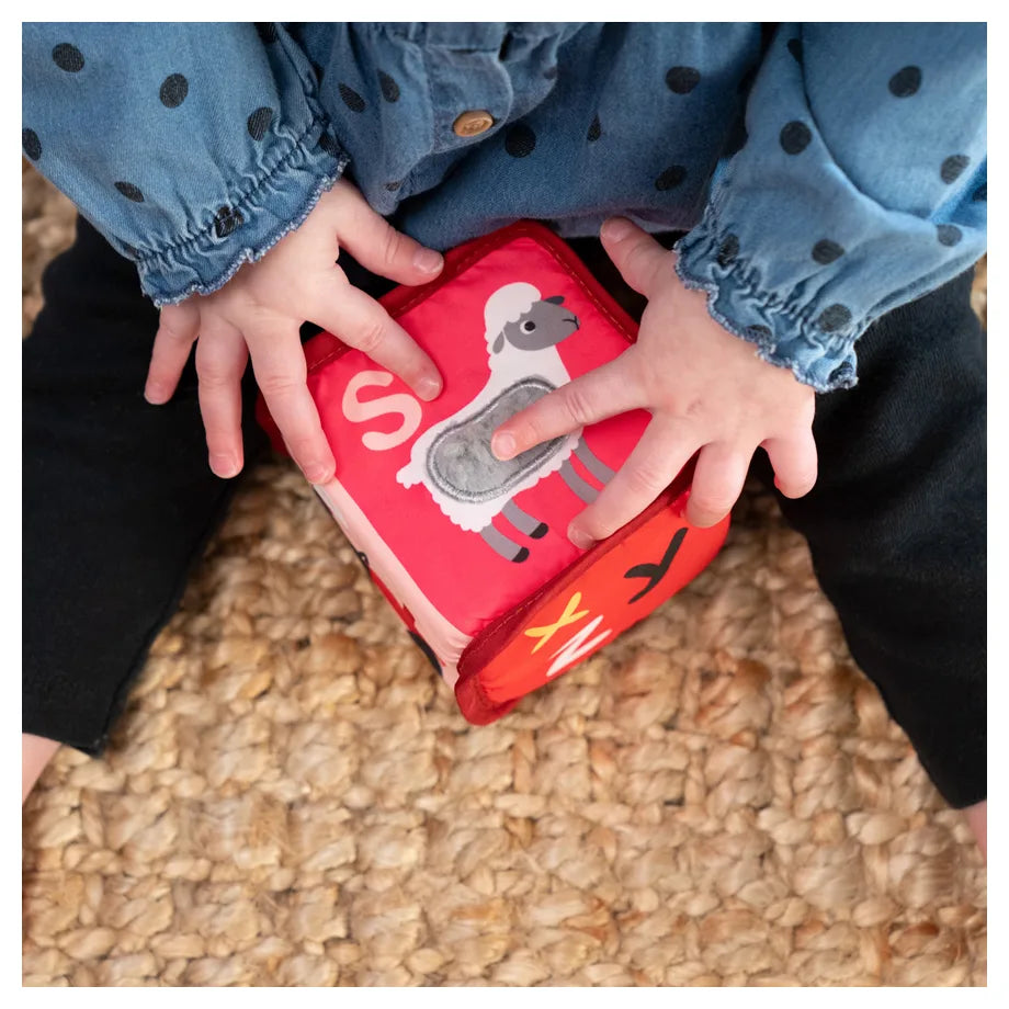Baby Einstein Alpha Stacks Soft Blocks
