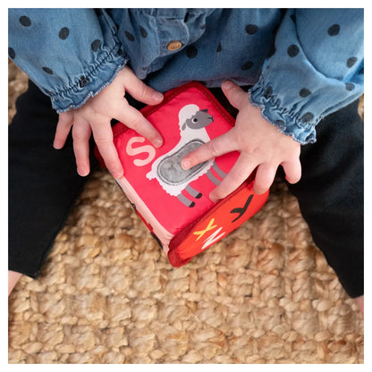 Baby Einstein Alpha Stacks Soft Blocks
