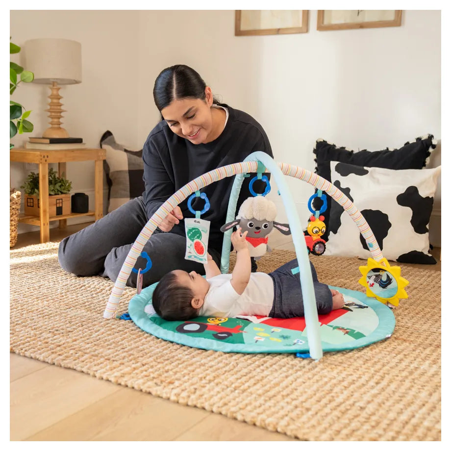 Baby Einstein Happy Harvest Touch & Feel Activity Gym