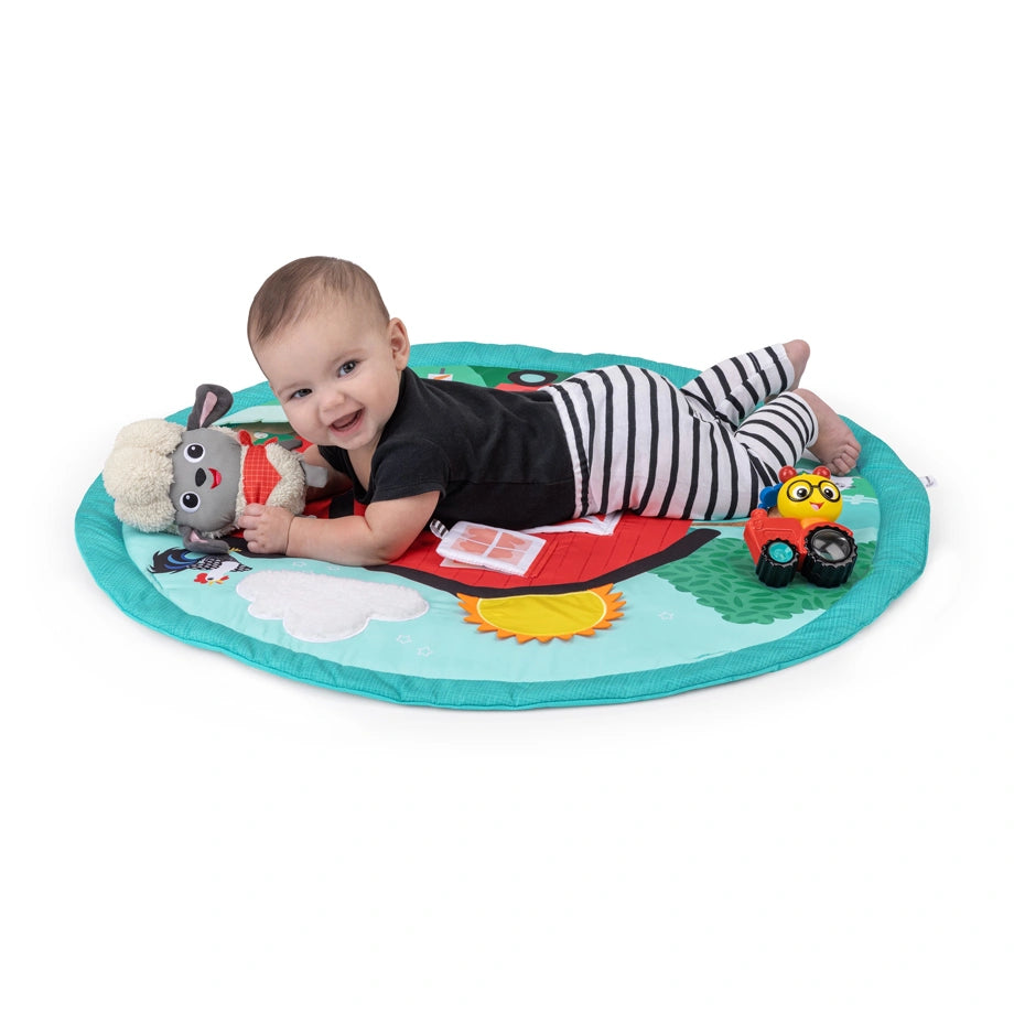 Baby Einstein Happy Harvest Touch & Feel Activity Gym