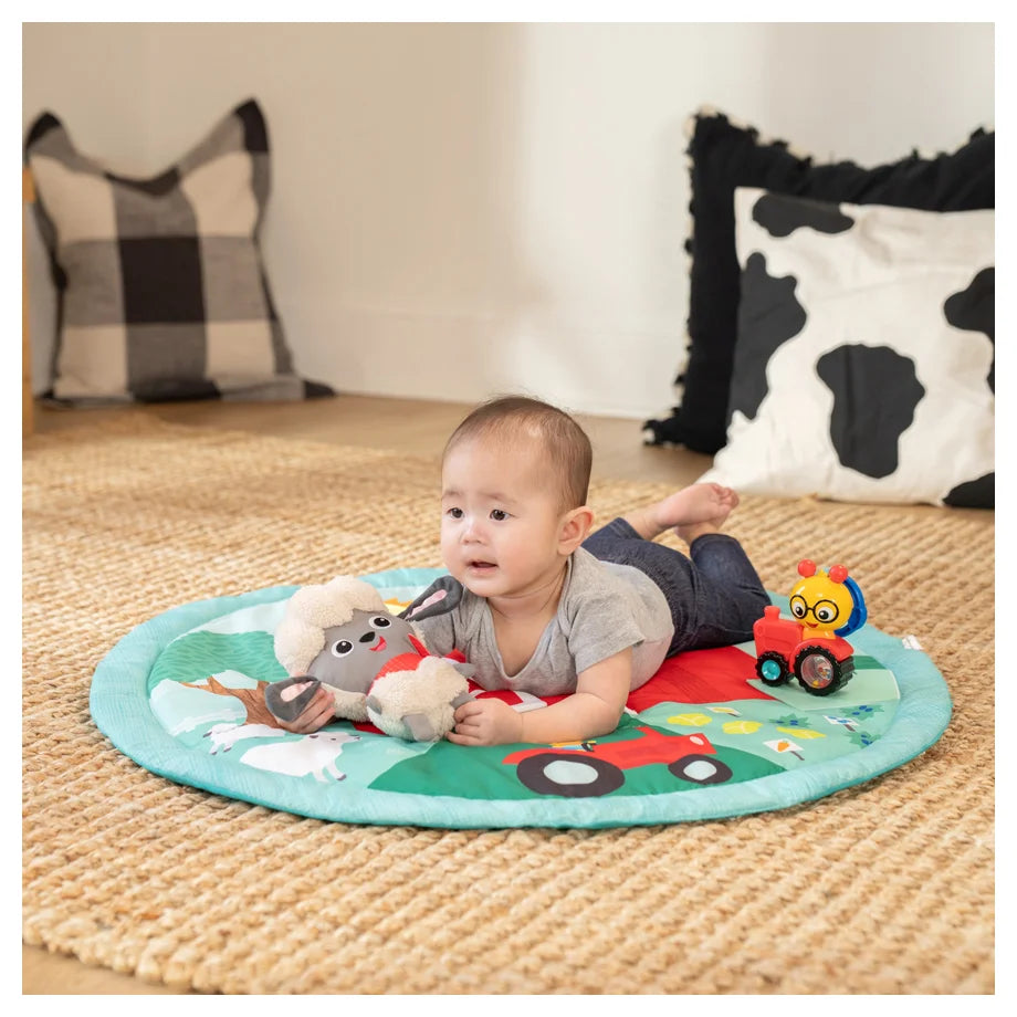 Baby Einstein Happy Harvest Touch & Feel Activity Gym