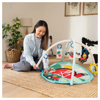 Baby Einstein Happy Harvest Touch & Feel Activity Gym
