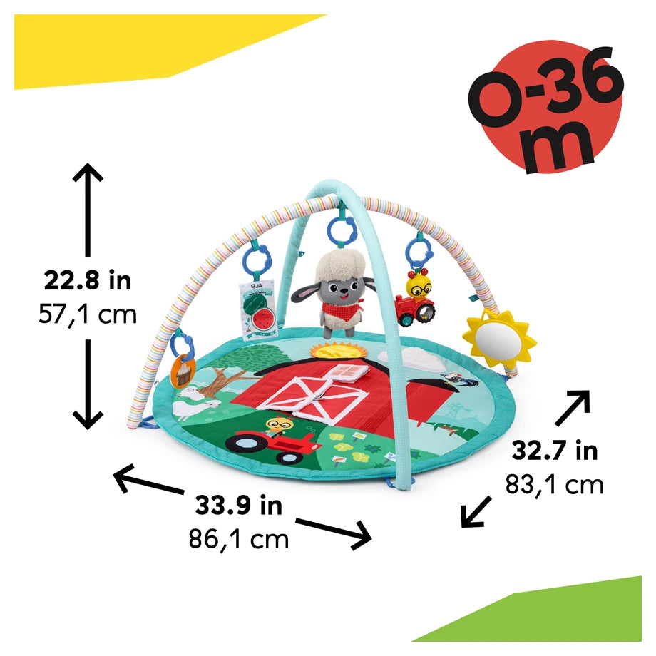 Baby Einstein Happy Harvest Touch & Feel Activity Gym