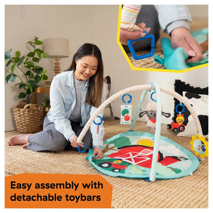 Baby Einstein Happy Harvest Touch & Feel Activity Gym