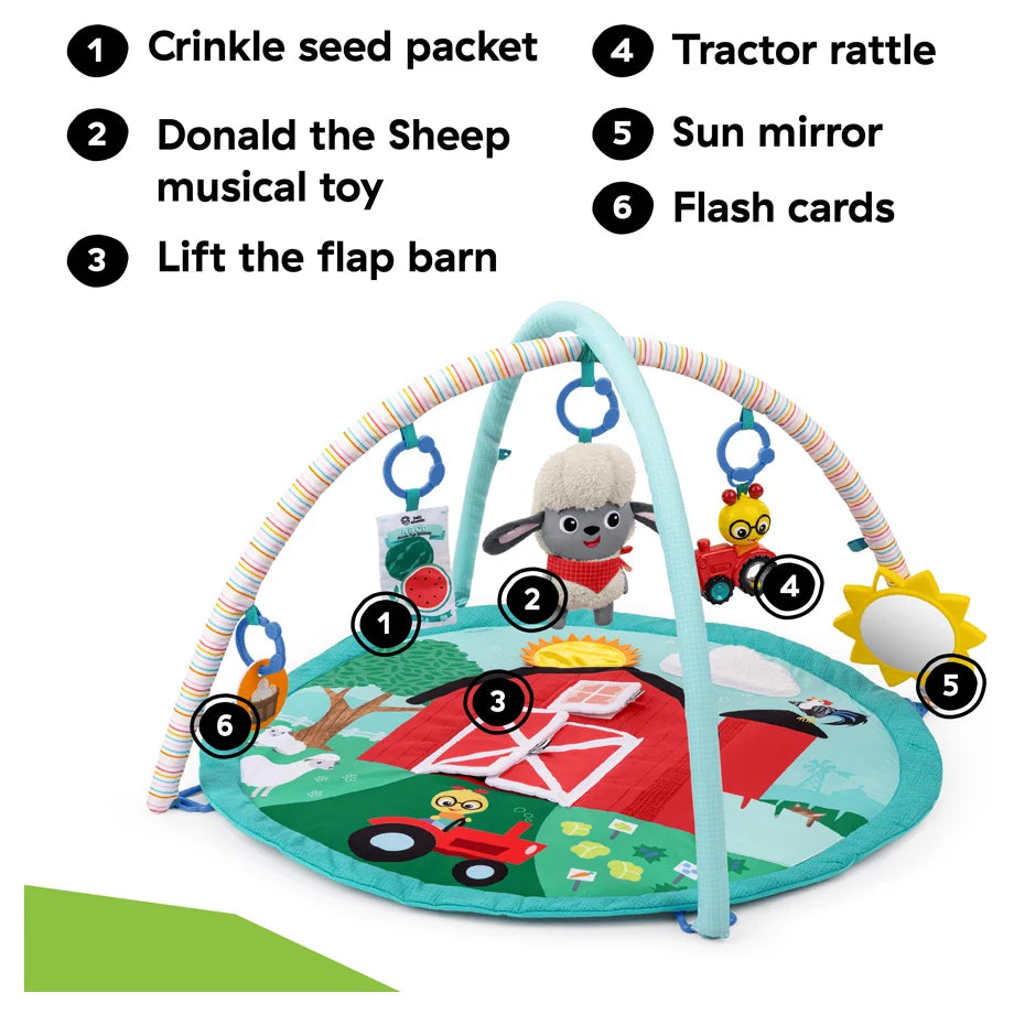 Baby Einstein Happy Harvest Touch & Feel Activity Gym