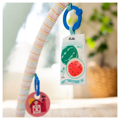 Baby Einstein Happy Harvest Touch & Feel Activity Gym