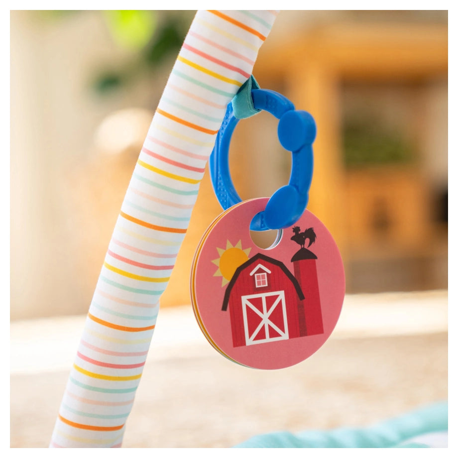 Baby Einstein Happy Harvest Touch & Feel Activity Gym