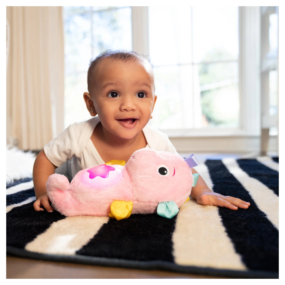 Baby Einstein Sea Dreams Seahorse Plush Soother (Pink)