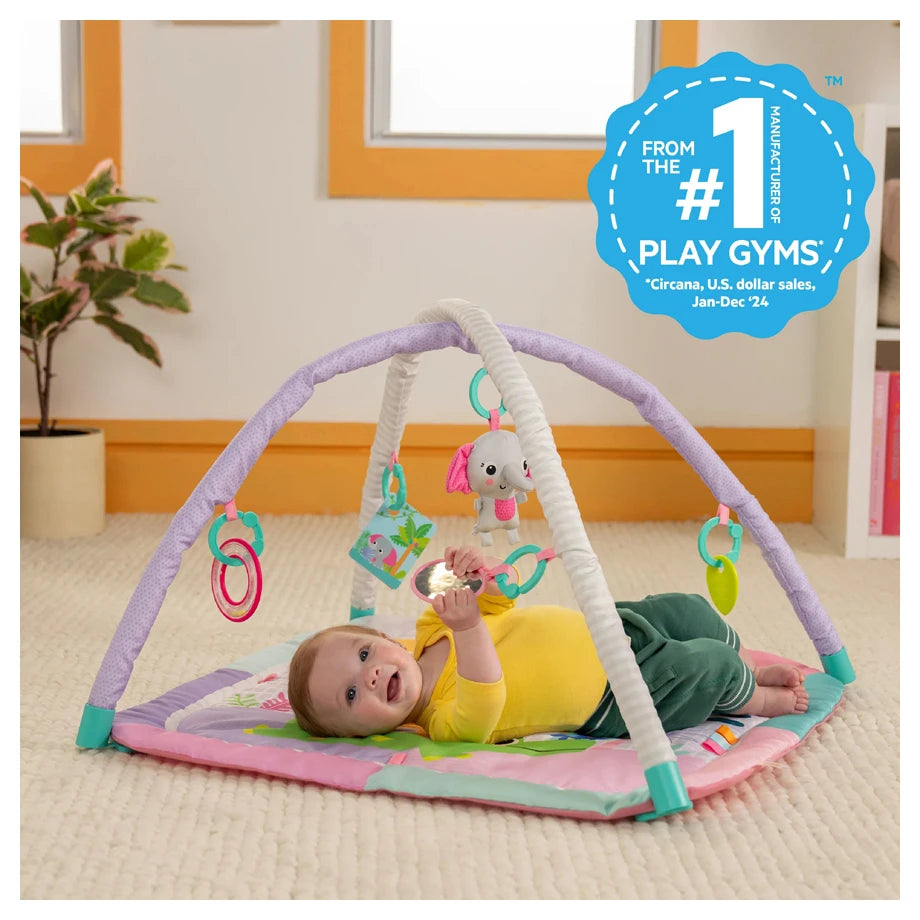Bright Starts Wild Wiggles Sweet Safari FoldAway Activity Gym