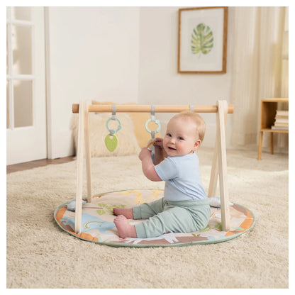 Ingenuity Wonder & Wood Wooden Toy Arch & Play Mat
