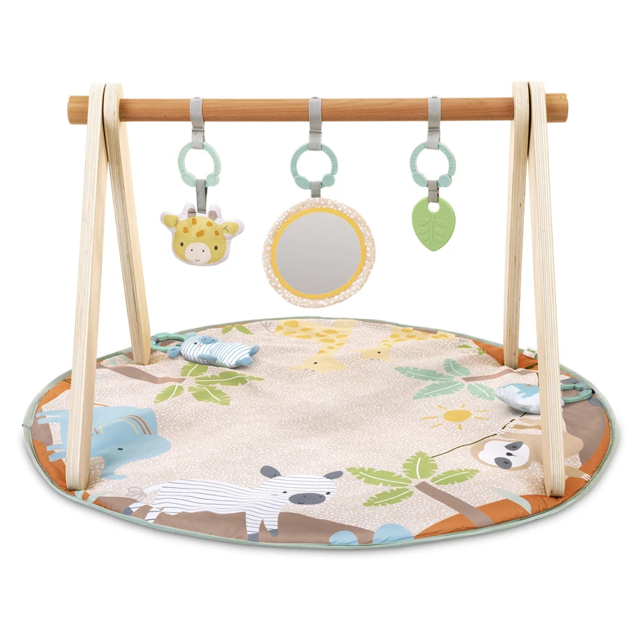 Ingenuity Wonder & Wood Wooden Toy Arch & Play Mat