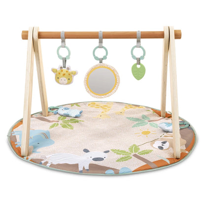 Ingenuity Wonder & Wood Wooden Toy Arch & Play Mat