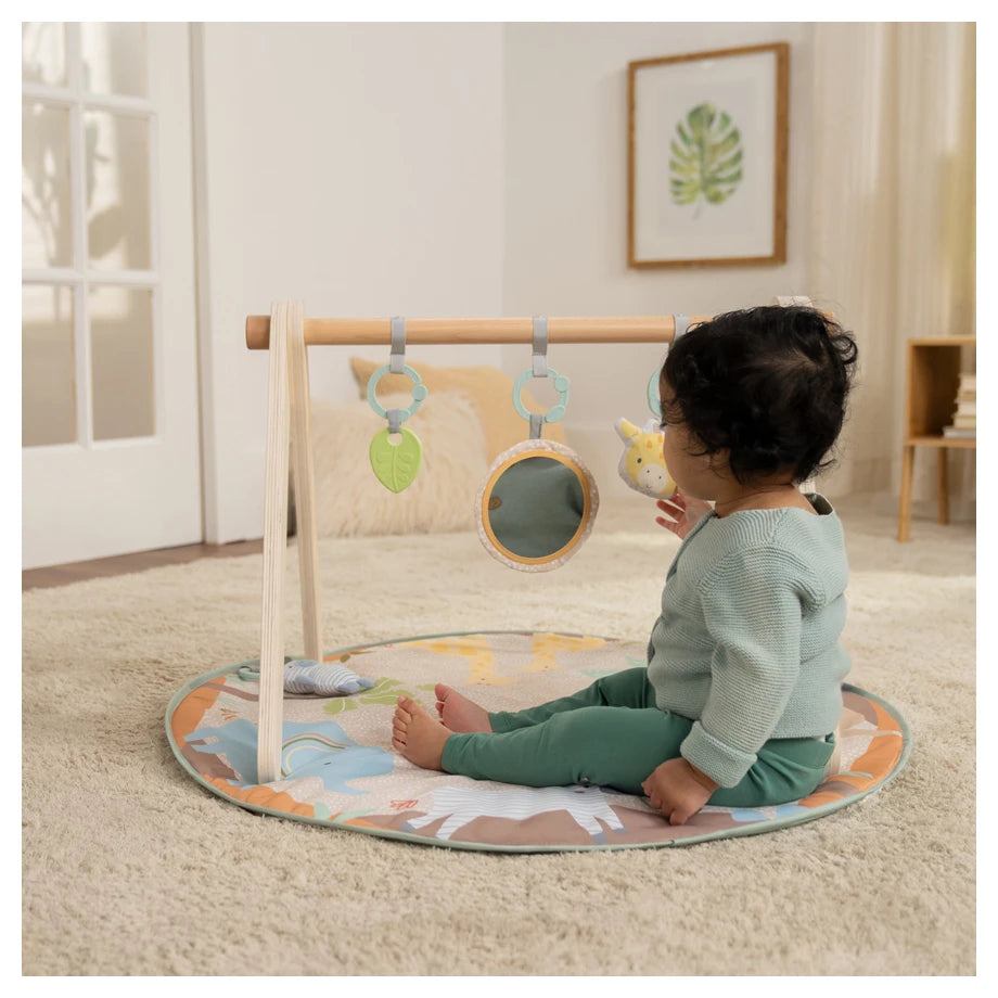 Ingenuity Wonder & Wood Wooden Toy Arch & Play Mat