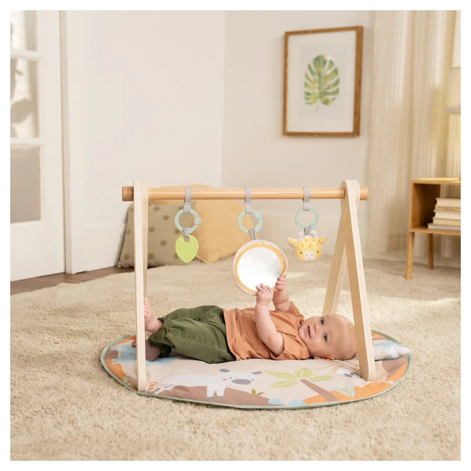 Ingenuity Wonder & Wood Wooden Toy Arch & Play Mat