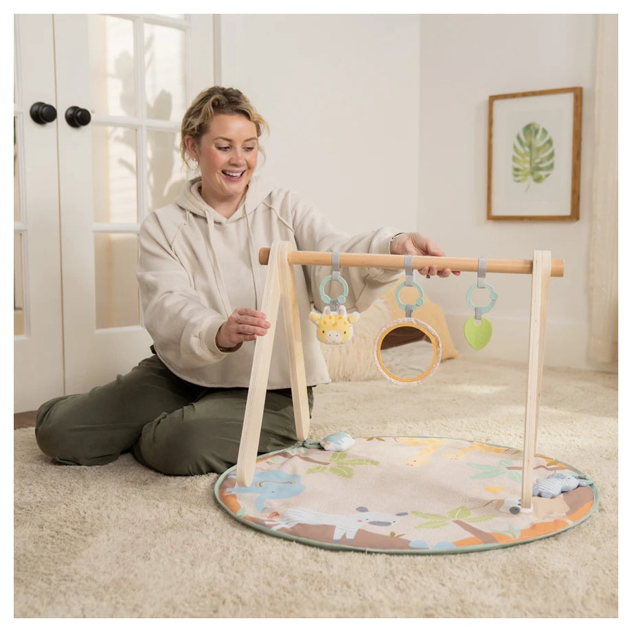 Ingenuity Wonder & Wood Wooden Toy Arch & Play Mat