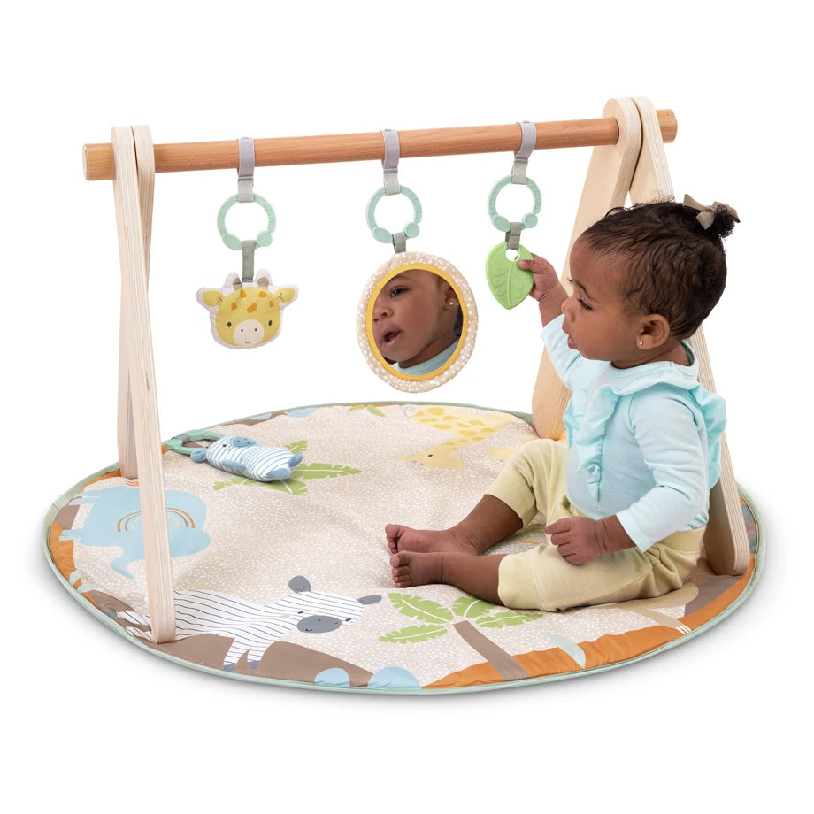 Ingenuity Wonder & Wood Wooden Toy Arch & Play Mat