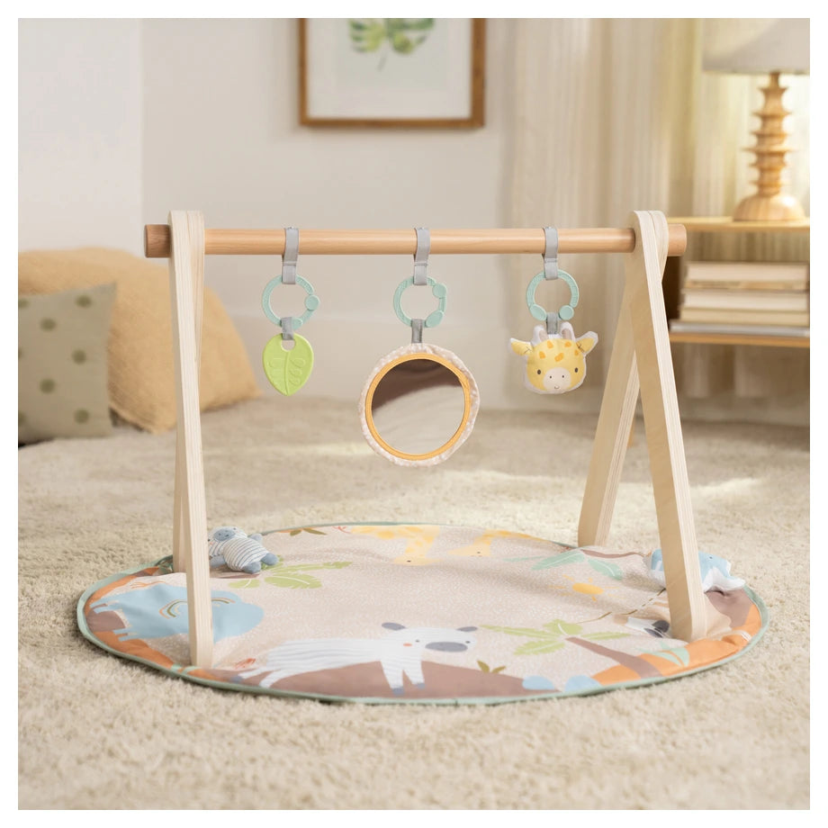 Ingenuity Wonder & Wood Wooden Toy Arch & Play Mat