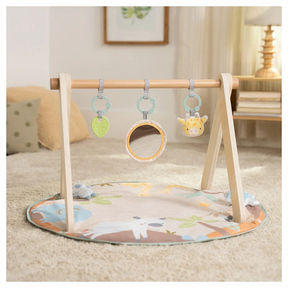 Ingenuity Wonder & Wood Wooden Toy Arch & Play Mat