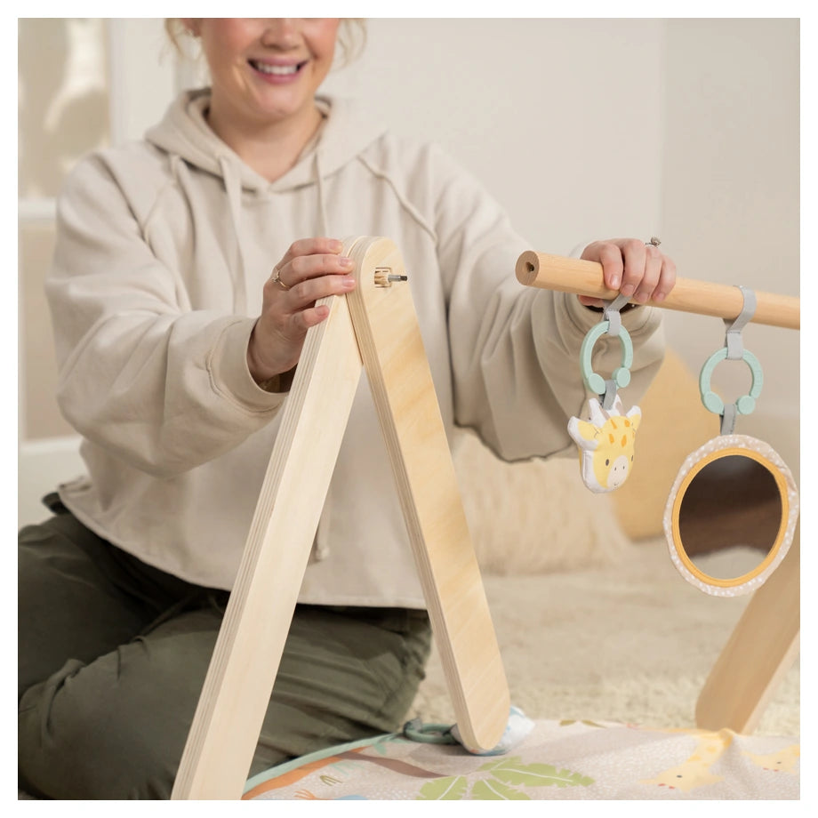 Ingenuity Wonder & Wood Wooden Toy Arch & Play Mat
