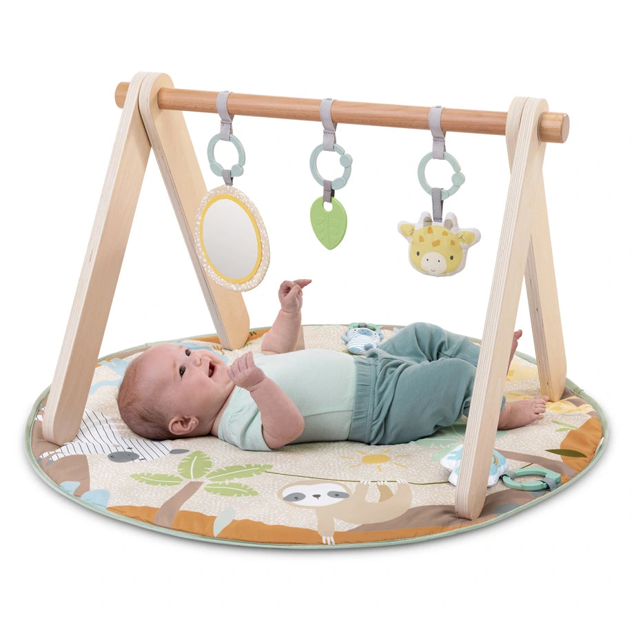 Ingenuity Wonder & Wood Wooden Toy Arch & Play Mat